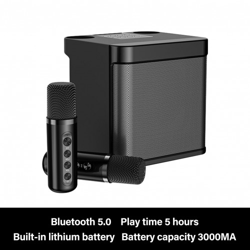 Portable Wireless Karaoke Machine,Bluetooth Speaker with 2 Wireless Microphones Portable PA System for Indoor Outdoor Party, Kids Karaoke Toy Compatible with Bluetooth, AUX, USB/TF Card inputs