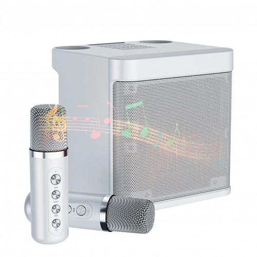 Portable Wireless Karaoke Machine,Bluetooth Speaker with 2 Wireless Microphones Portable PA System for Indoor Outdoor Party, Kids Karaoke Toy Compatible with Bluetooth, AUX, USB/TF Card inputs