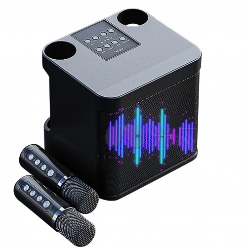 Portable Wireless Karaoke Machine,Bluetooth Speaker with 2 Wireless Microphones Portable PA System for Indoor Outdoor Party, Kids Karaoke Toy Compatible with Bluetooth, AUX, USB/TF Card inputs